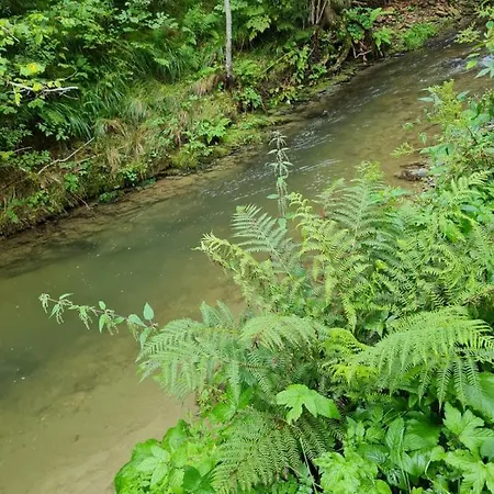 Am Bach