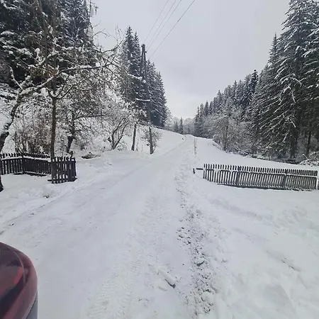 Am Bach *