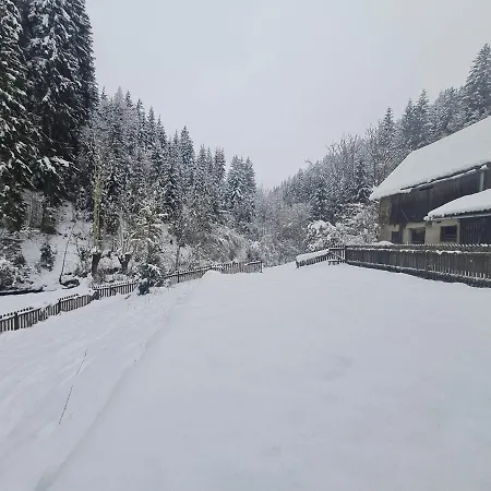 Am Bach *